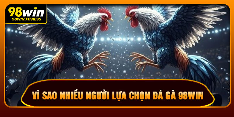 Vì Sao Nhiều Người Lựa Chọn Đá Gà 98WIN